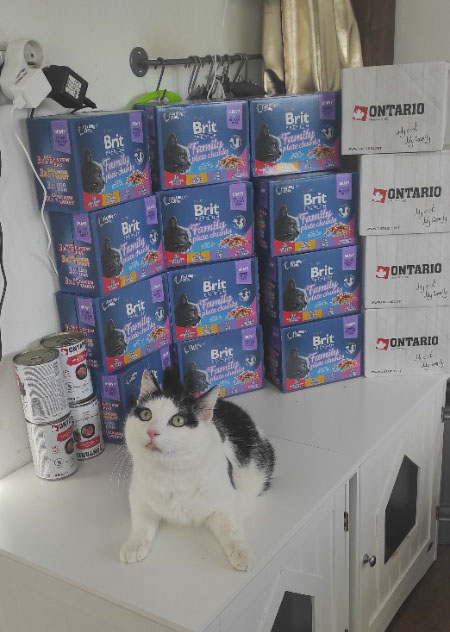 handicepcats leden
